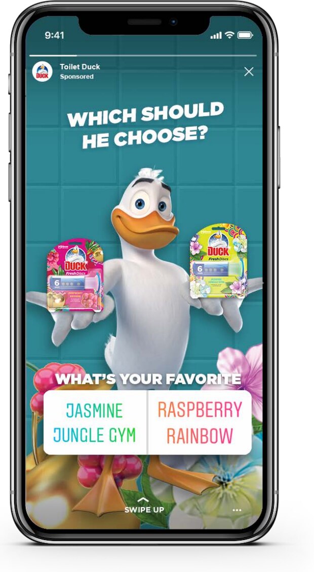 Instagram Story poll asking 'Which should he choose?' with vote buttons for Jasmine Jungle Gym and Raspberry Rainbow